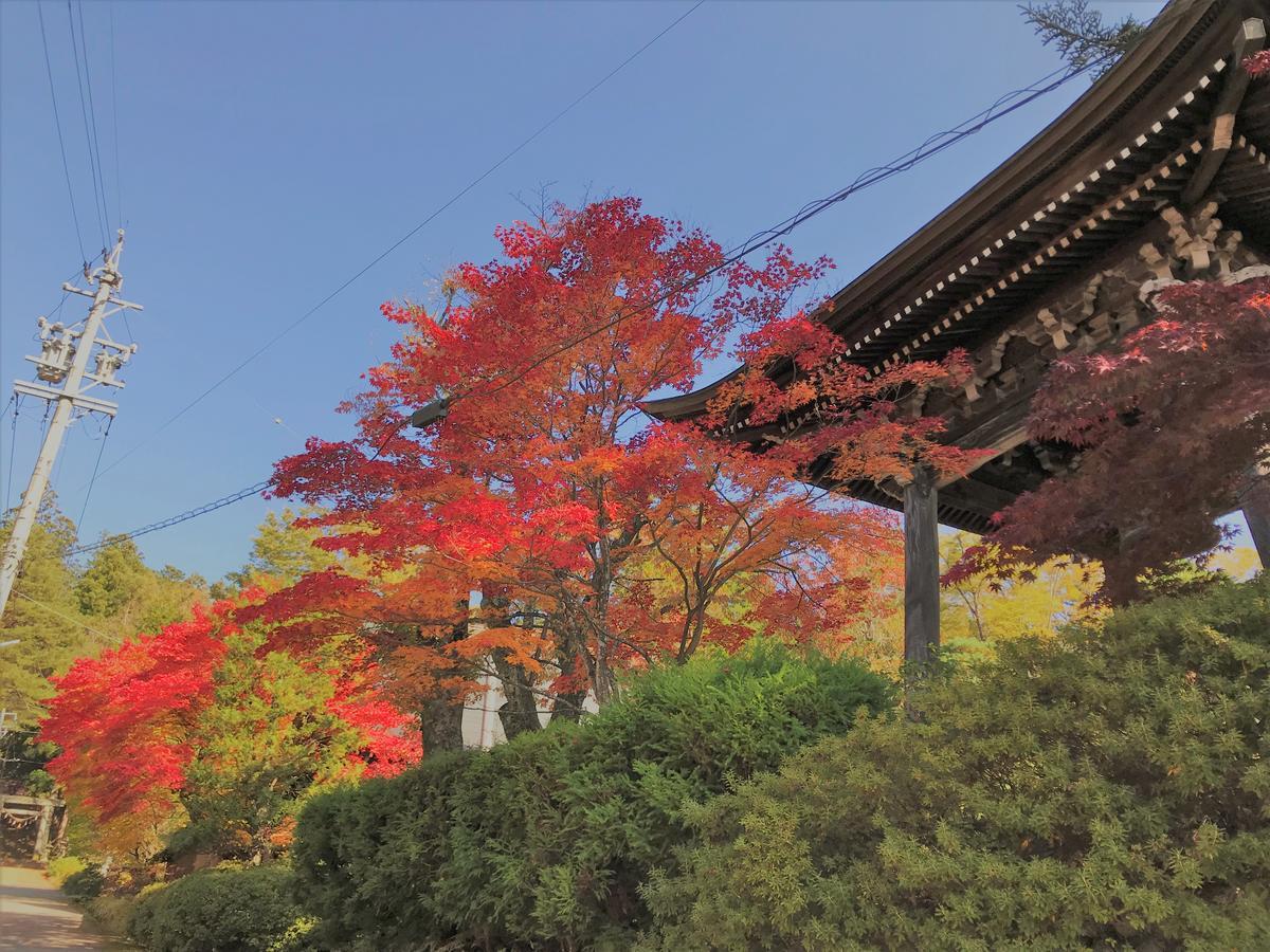 Guesthouse Daruma Takayama  Luaran gambar