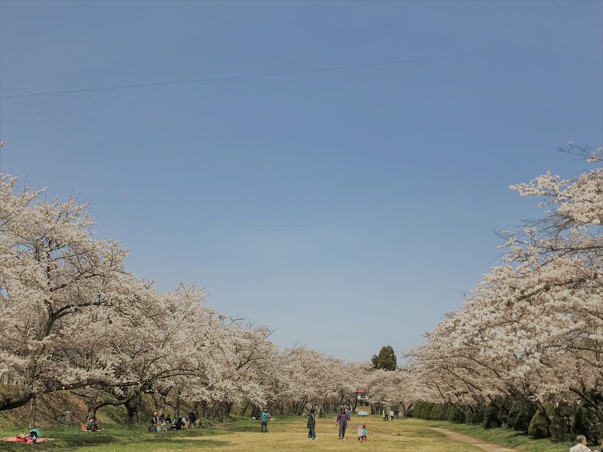 Guesthouse Daruma Takayama  Luaran gambar