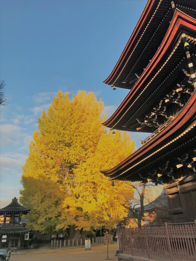Guesthouse Daruma Takayama  Luaran gambar